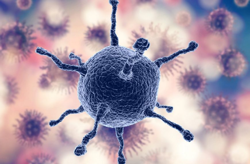 El C&aacute;ncer: Una enfermedad de nuestras c&eacute;lulas